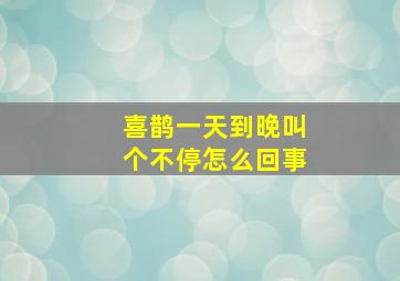 喜鹊一天到晚叫个不停怎么回事