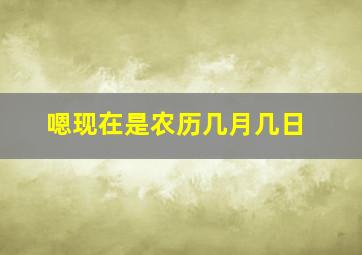 嗯现在是农历几月几日