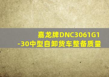 嘉龙牌DNC3061G1-30中型自卸货车整备质量