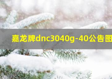 嘉龙牌dnc3040g-40公告图片