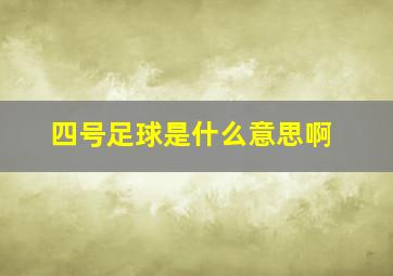 四号足球是什么意思啊