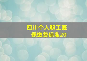 四川个人职工医保缴费标准20