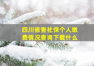 四川省查社保个人缴费情况查询下载什么