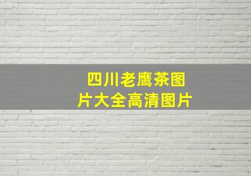 四川老鹰茶图片大全高清图片