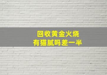 回收黄金火烧有猫腻吗差一半