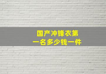 国产冲锋衣第一名多少钱一件