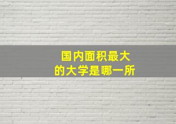 国内面积最大的大学是哪一所