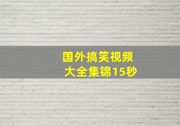 国外搞笑视频大全集锦15秒