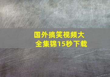 国外搞笑视频大全集锦15秒下载