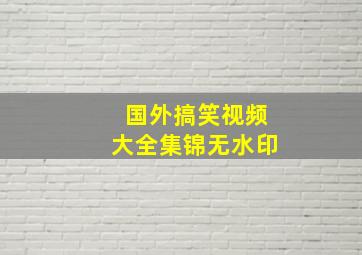 国外搞笑视频大全集锦无水印