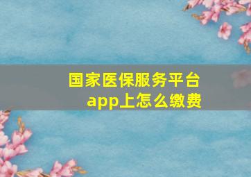 国家医保服务平台app上怎么缴费