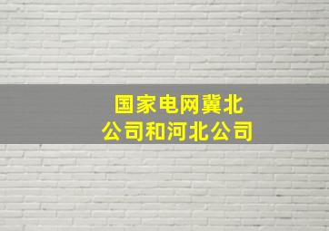 国家电网冀北公司和河北公司