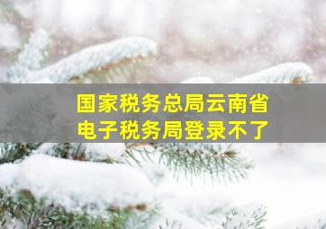 国家税务总局云南省电子税务局登录不了