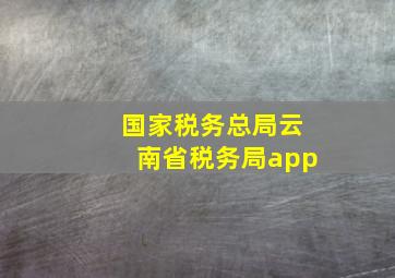 国家税务总局云南省税务局app