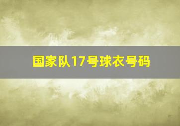 国家队17号球衣号码