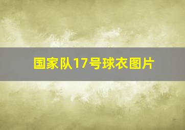 国家队17号球衣图片