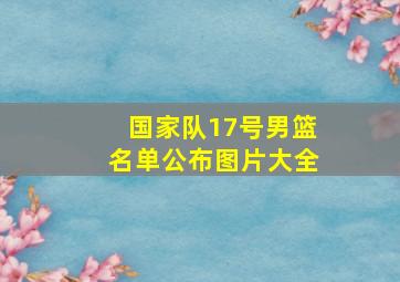 国家队17号男篮名单公布图片大全