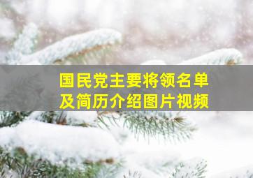 国民党主要将领名单及简历介绍图片视频