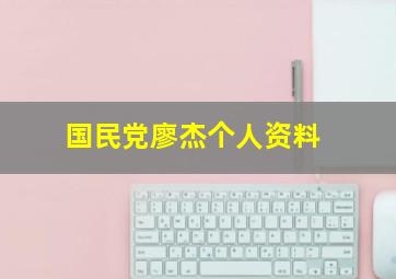 国民党廖杰个人资料