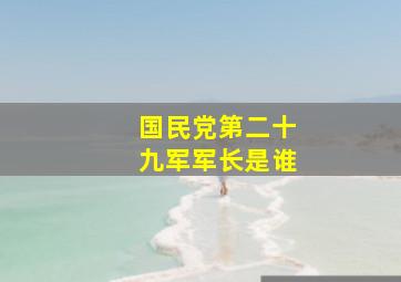 国民党第二十九军军长是谁