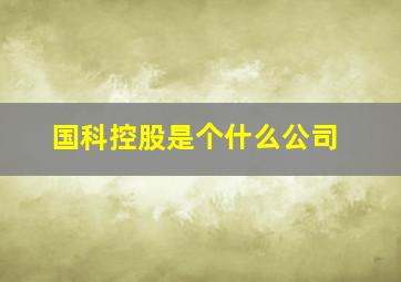 国科控股是个什么公司