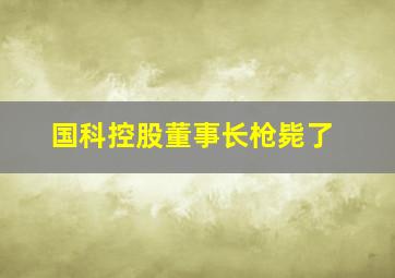 国科控股董事长枪毙了