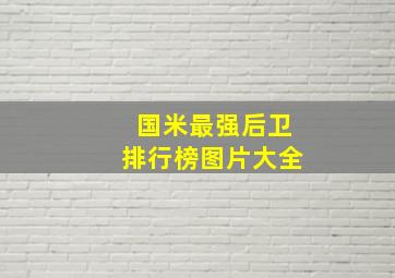 国米最强后卫排行榜图片大全