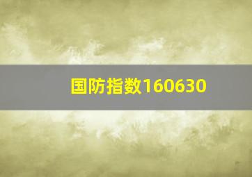 国防指数160630