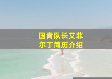 国青队长艾菲尔丁简历介绍