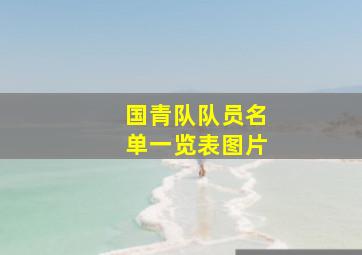 国青队队员名单一览表图片