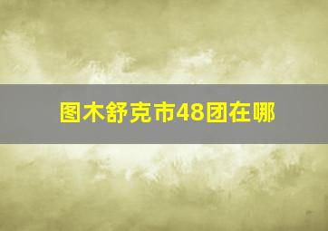 图木舒克市48团在哪