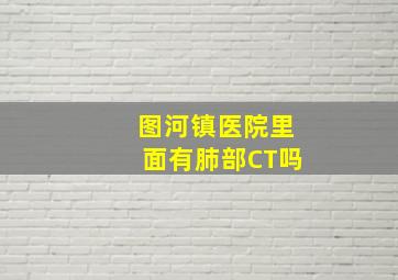 图河镇医院里面有肺部CT吗