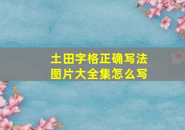 土田字格正确写法图片大全集怎么写