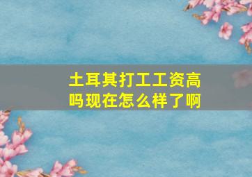 土耳其打工工资高吗现在怎么样了啊