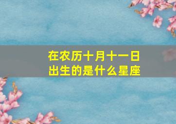 在农历十月十一日出生的是什么星座