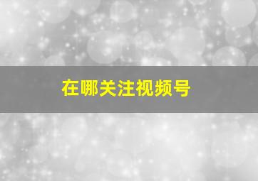 在哪关注视频号