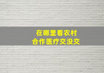 在哪里看农村合作医疗交没交