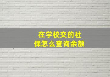 在学校交的社保怎么查询余额