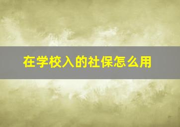 在学校入的社保怎么用