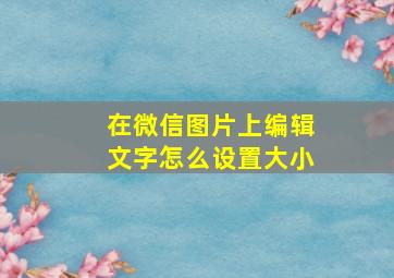 在微信图片上编辑文字怎么设置大小