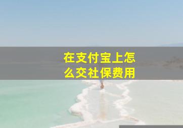 在支付宝上怎么交社保费用