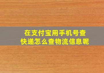 在支付宝用手机号查快递怎么查物流信息呢