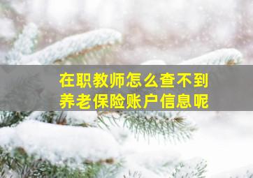 在职教师怎么查不到养老保险账户信息呢