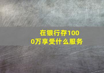 在银行存1000万享受什么服务