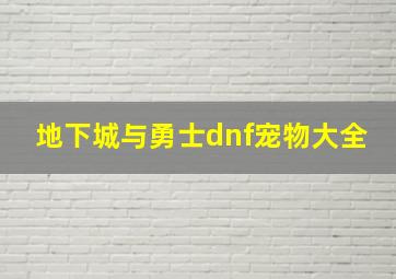 地下城与勇士dnf宠物大全