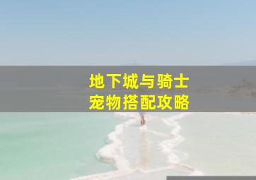 地下城与骑士宠物搭配攻略