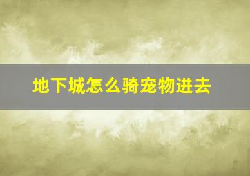 地下城怎么骑宠物进去