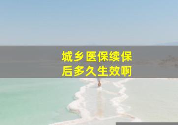 城乡医保续保后多久生效啊