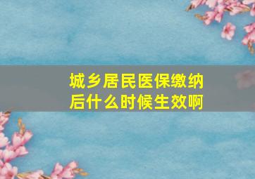 城乡居民医保缴纳后什么时候生效啊