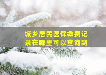 城乡居民医保缴费记录在哪里可以查询到